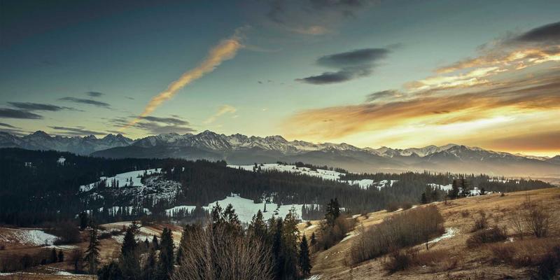 贤通教育美本转学全攻略：把握黄金时机、高效转换学分、打造决胜文书
