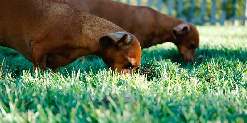 跨越学术鸿沟:贤通教育如何用衔接课程为留学生铺平海外求学之路